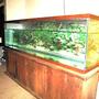 fish tank picture - Fresh start new opportunities.