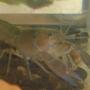 corals inverts - cherax sp. - sunburst fire lobster stocking in 6 gallons tank -