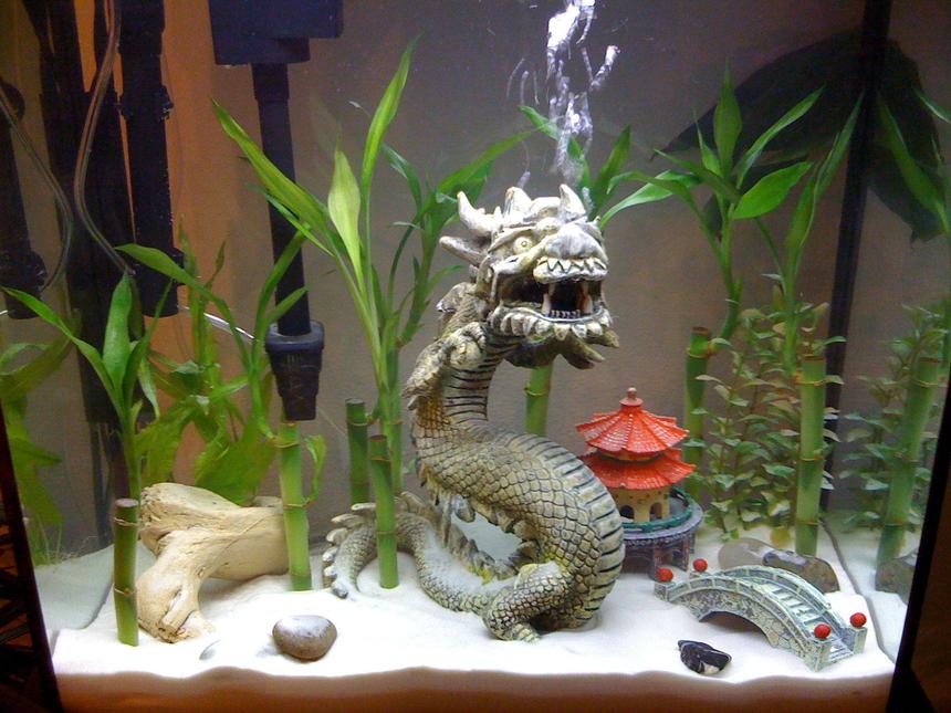 Rated #2584: 15 Gallons Freshwater Fish Tank - Just added sand..