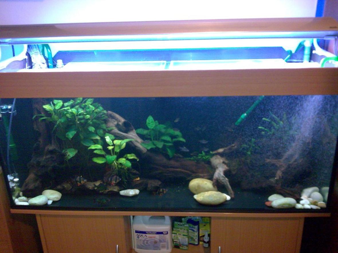 240 gallons freshwater fish tank (mostly fish and non-living decorations) - 4ft bare bottom tank with wood and large pebbles.Fluval 305 and Aqua Pro 1 filters.Arcadia overhead linghting.JBL Co2 kit