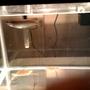 freshwater fish - scleropages jardini - jardini arowana stocking in 90 gallons tank - Jardini Arowana, 6"