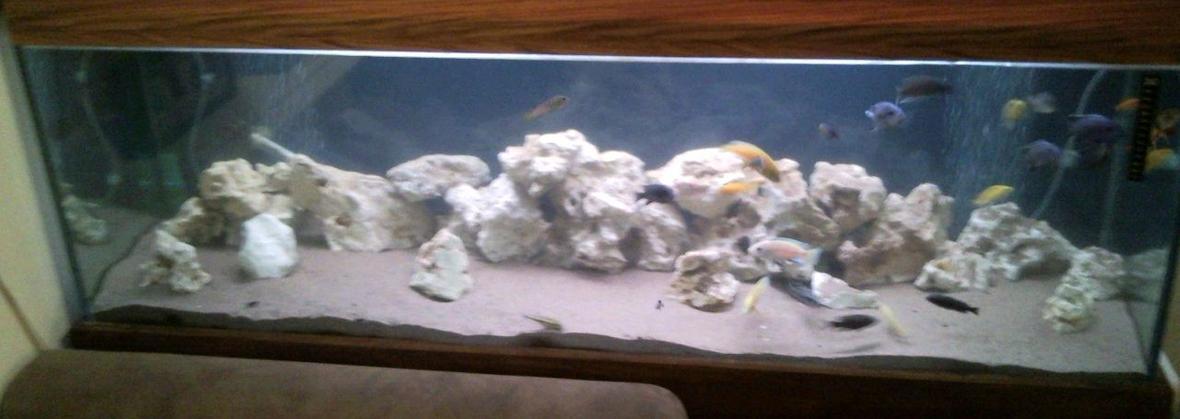 84 gallons freshwater fish tank (mostly fish and non-living decorations) - Mixed Malawi Cichlids 5 Yellow lab, 2 Red zebra, 3 Powder Blue cichlid 3 Red Kadango and many others that i forget there names. total fish in tank is 30. 32kg of Ocean rock and 30kgs of Sand