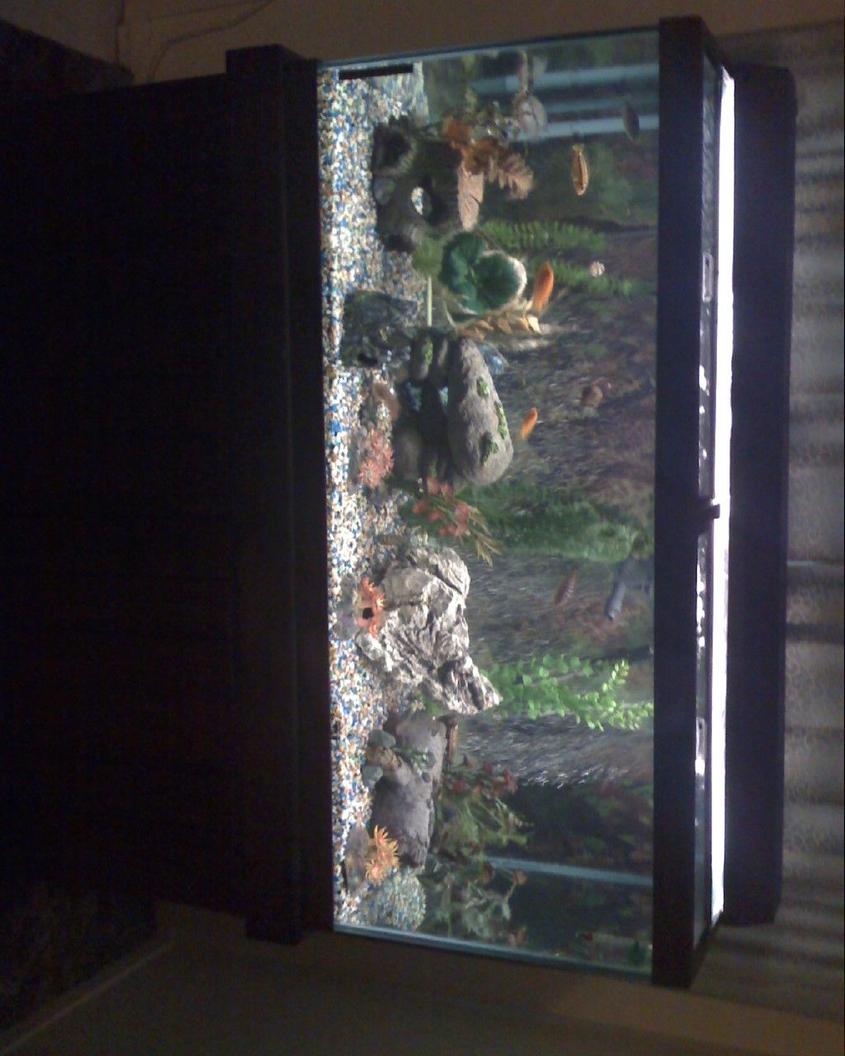 Rated #3851: 90 Gallons Freshwater Fish Tank - my first tank