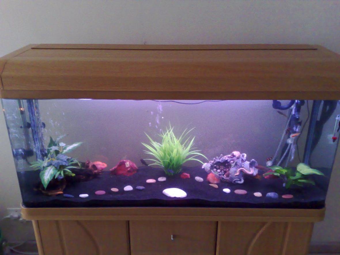 90 gallons freshwater fish tank (mostly fish and non-living decorations) - Curved glass, 1.2 meter tank.