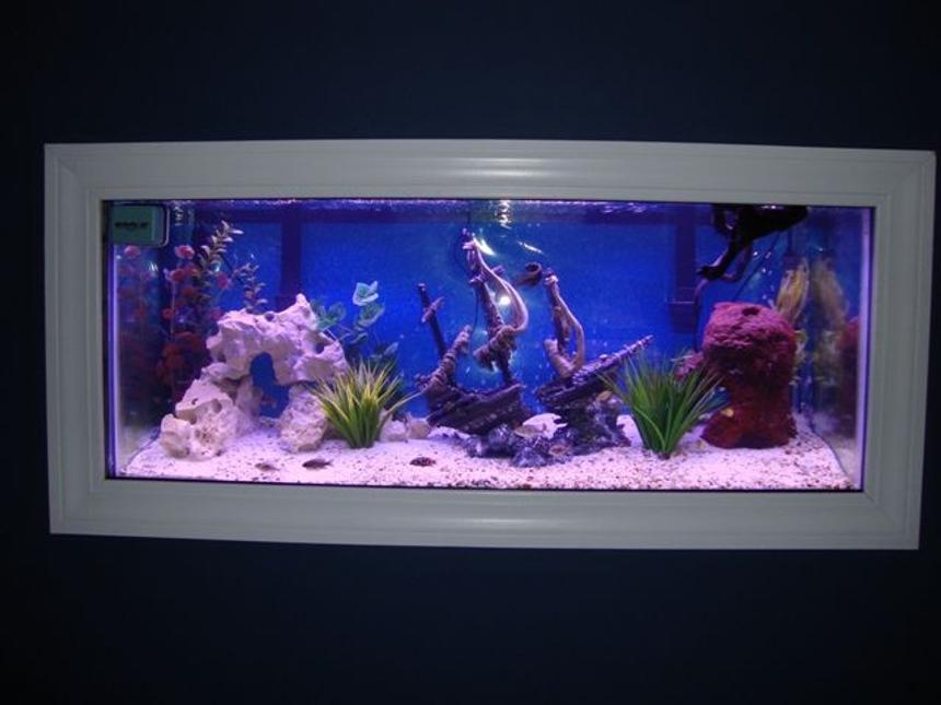 Rated #1092: 75 Gallons Freshwater Fish Tank - Tank pic 2
