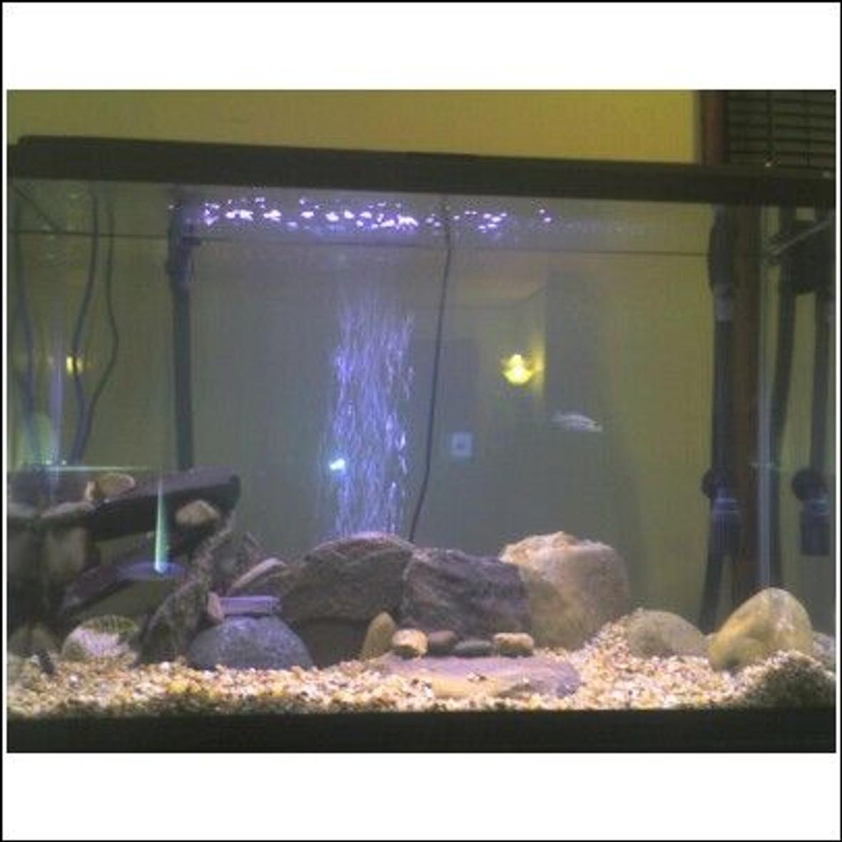 45 gallons freshwater fish tank (mostly fish and non-living decorations) - another angle