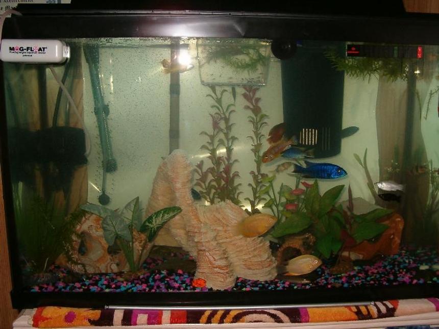 Rated #3707: 28 Gallons Freshwater Fish Tank - 30 Gallon New Tank