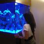 fish tank picture - SCUBA DIVE WITHOUT GETTING WET