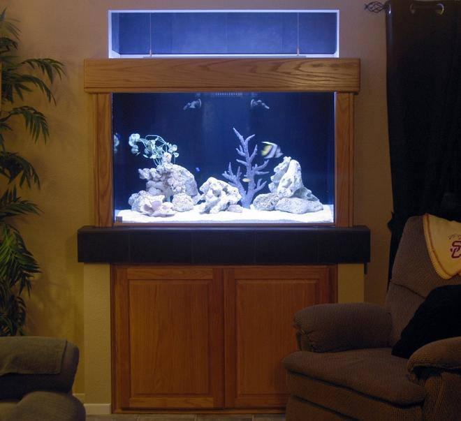 150 gallons saltwater fish tank (mostly fish, little/no live coral)