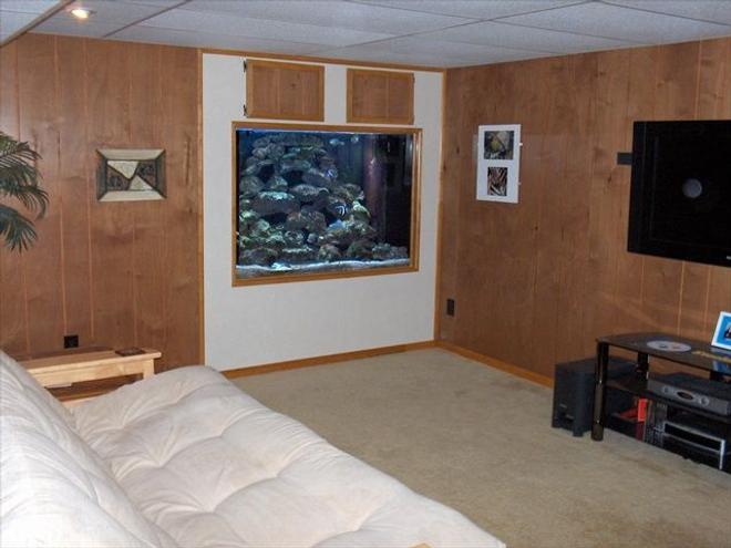 500 gallons saltwater fish tank (mostly fish, little/no live coral) - tank