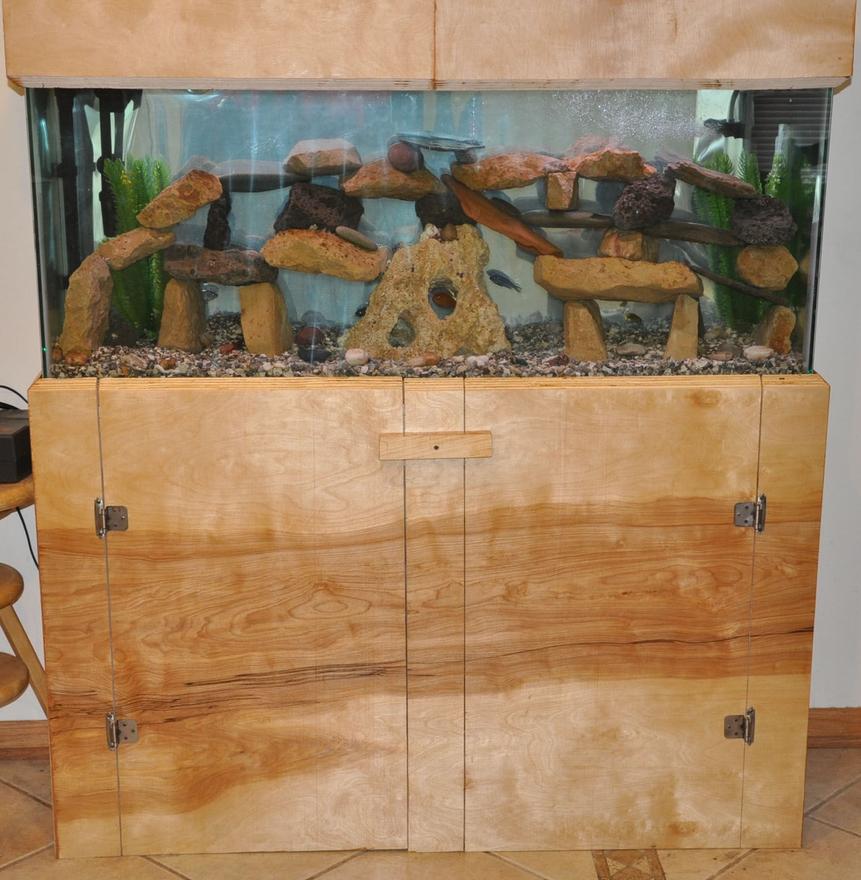 Rated #2777: 55 Gallons Freshwater Fish Tank - 55 Gallon Freshwater African Cichlid