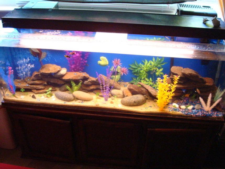 Rated #2480: 80 Gallons Freshwater Fish Tank - I mainly used sand for the substrate though there is a small bit of decorative rocks off to the side.  I also used fake plants, large rocks and some barrels.