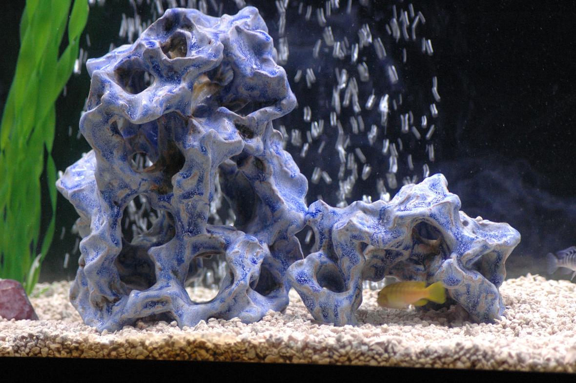 freshwater fish stocking in 55 gallons tank - I have a lot of these ceramic pieces in my tank. I Think they look awesome and the fish seem to enjoy them. Tom's Aquatic Ceramics It is handmade, has no lead, and the color will NEVER fade or scrub off Made in Bemidji MN Note: I am not Tom. I just like his work