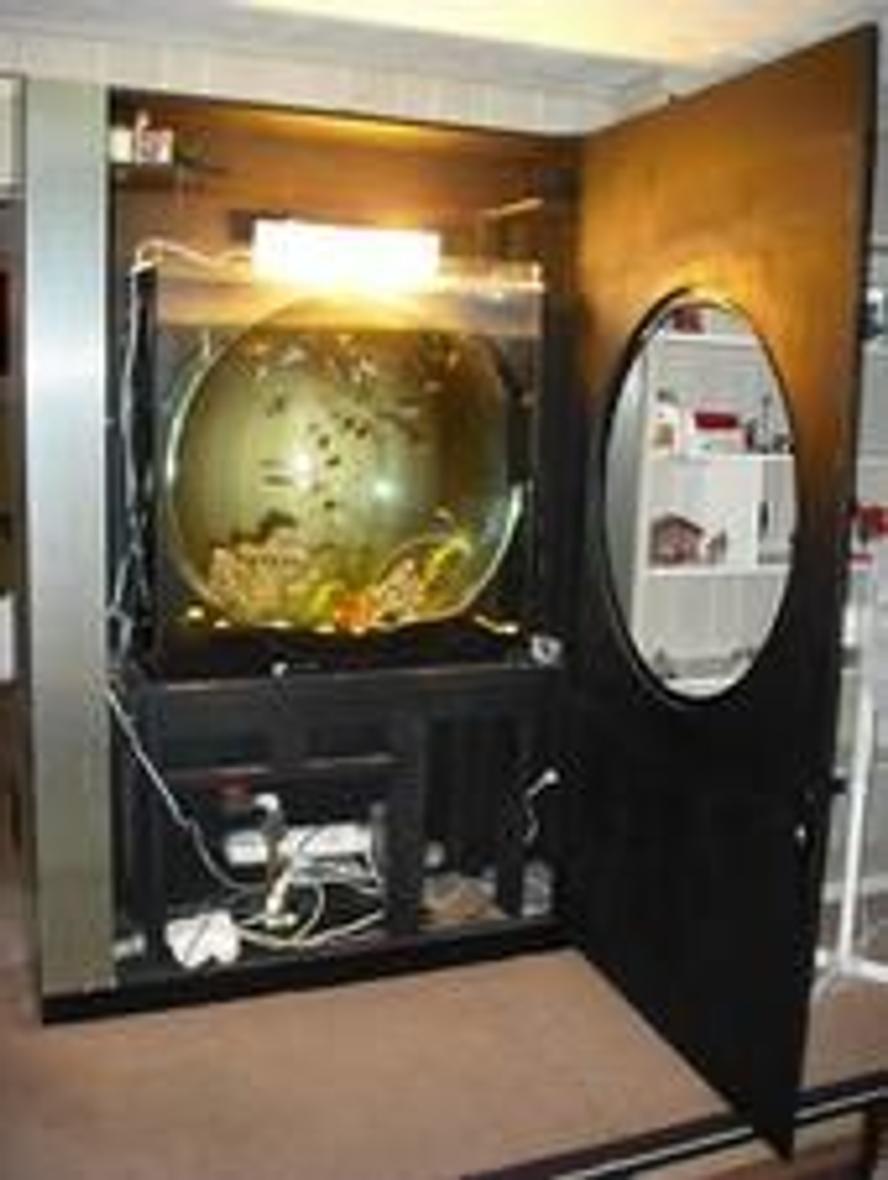 fish tank picture - this is before i took out the collisium