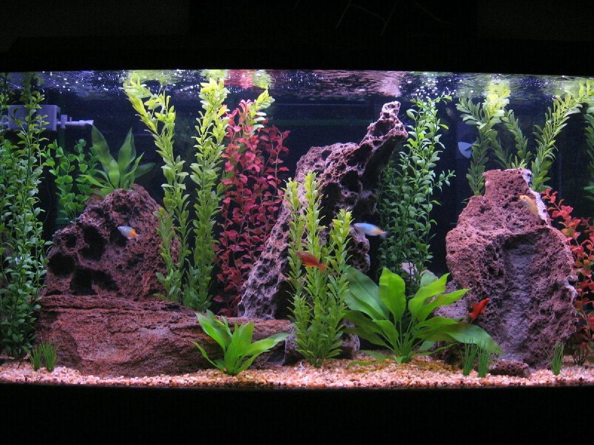 80 gallons freshwater fish tank (mostly fish and non-living decorations) - The tank is a 80 gallon Visia Aquarium. Filtration is provided by 2 Penguin Bio Wheel 350's and 1 Eheim canister 2215. The heater is a 250w Visi-therm Stealth heater. I do 50% water change and vacuum the gravel once a week.