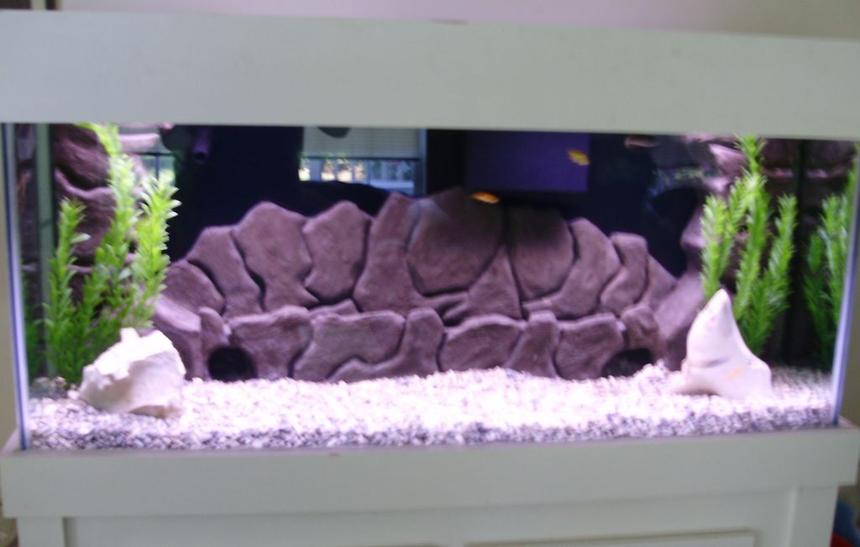 Rated #2729: 75 Gallons Freshwater Fish Tank - full view
