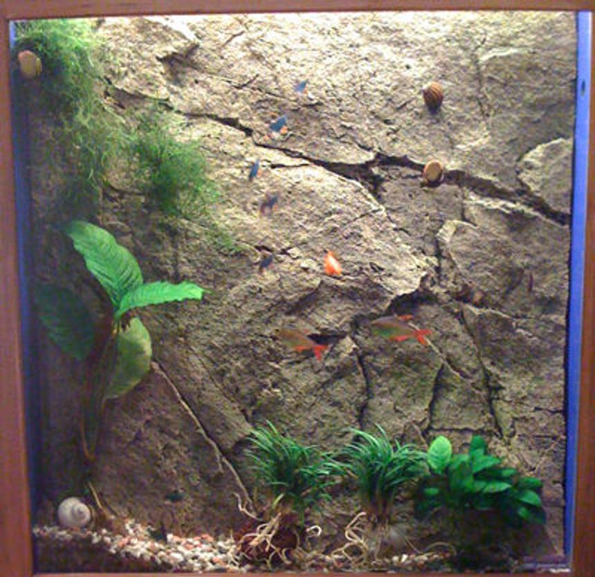 Rated #1507: 10 Gallons Freshwater Fish Tank - walltank