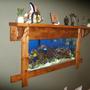 fish tank picture - Angle View