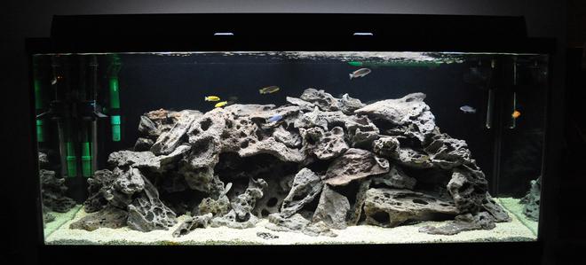 120 gallons freshwater fish tank (mostly fish and non-living decorations) - My 120 gallon Mixed African Tank...