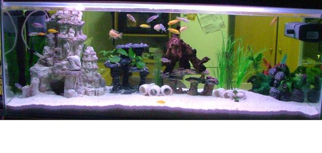 58 gallons freshwater fish tank (mostly fish and non-living decorations) - This is my first shot at a 50+ galon. After adding the water for the first time, the base of the tank cracked. I sent it back to the manufacturer to have it fixed. When it came back, it had a leak. So after all my trouble of getting it setup up, this is the outcome.

The tank is situated between my kitchen and the tv room. So I tried to have little deco in the center and have more on the sides so that my wife can still watch tv while doing the dishes.