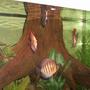 freshwater fish - symphysodon aequifasciata sp. - discus stocking in 150 gallons tank - 150 GALLON DISCUS TANK