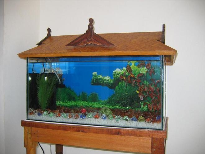 15 gallons freshwater fish tank (mostly fish and non-living decorations) - size: 2 x 1 x 1 (feet). 15 gallons tank. White and brown gravels are used. Right now no light is used. I used artifical plants only. Gold, Telescope, Guppy and 1 male fighter(betta). I used HJ-752 filter (18 W, 600 liter/hour).