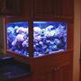 200 gallons reef tank (mostly live coral and fish) - 200 gallon DSB reef tank.