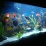 125 gallons freshwater fish tank (mostly fish and non-living decorations) - my 125 gallon cichlid tank