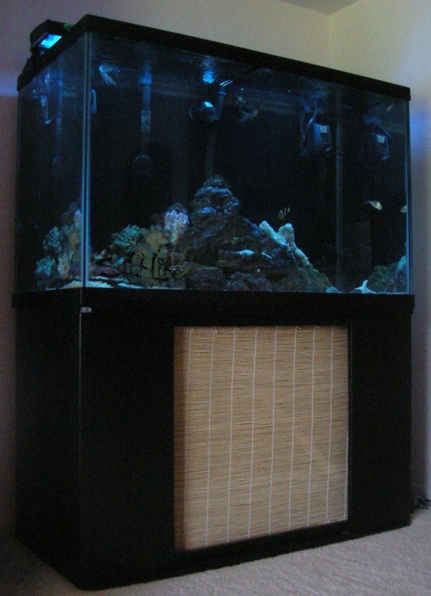 Rated #31: 29 Gallons Saltwater Fish Tank - My 150 FOWLR. Tank dimensions are 48x24x32". Fluval fX5 925 gph, 400 gph skilter. One 600 gph and two 400 gph koralia powerhead. 260w power compacts - 130w 10k and 130w actinic. LED moonlighting. All on timers for that dawn till dusk effect. Two addtional 925 gph powerheads. 250 lbs of live rock and 100 lbs of sand.