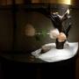 fish tank picture - extra2