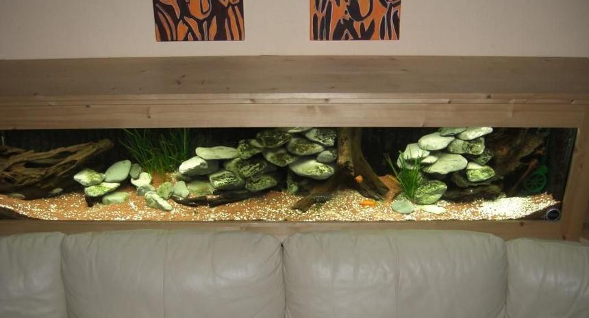 Rated #67: 63 Gallons Freshwater Fish Tank - Tanganyika tank