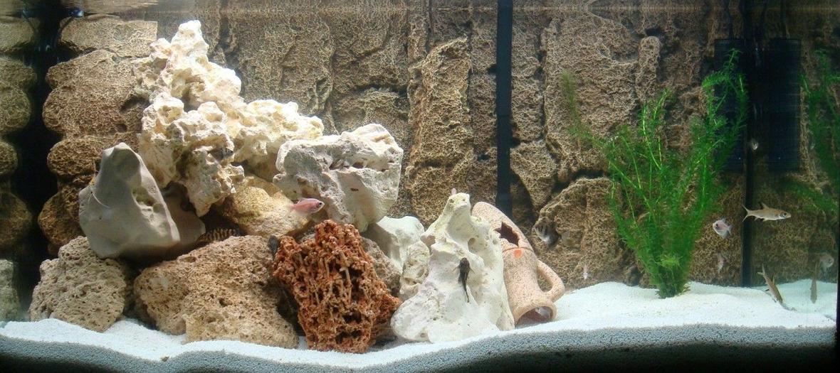 65 gallons freshwater fish tank (mostly fish and non-living decorations) - 250L Freshwater JBL external pump E1500 PH Controller (CO2) 2x Tubes T8 30W