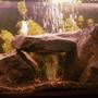70 gallons freshwater fish tank (mostly fish and non-living decorations) - StoneHenge - Granite rock with a suspended rock creating a tunnel. I placed an undergavel airstone beneth the suspended rock which spreads the bubbles around and gives a unique look!
