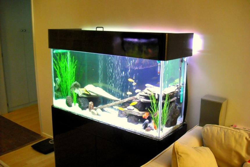 Rated #79: 75 Gallons Freshwater Fish Tank - 75Gal, Marineland 350 dual bio wheel, Jebo 300W heater, DIY GE Lighting, Lava Rocks, Slates, 1/4 white graval