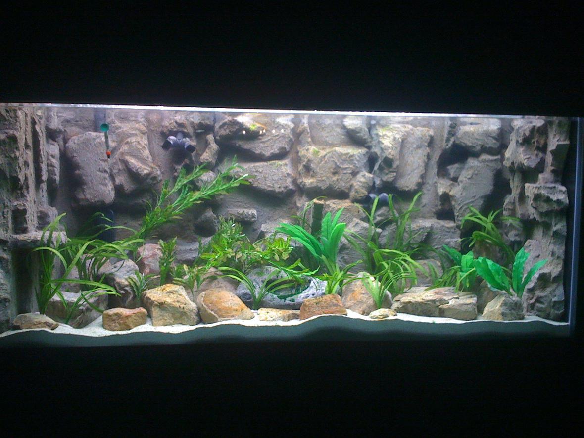 240 gallons freshwater fish tank (mostly fish and non-living decorations) - 240 gal (72"l x 24"w x 31"h) 2 Fuval FX5 500 watt finnex titanium heater 3M color quartz for substrate natural rocks DIY Background silk plants