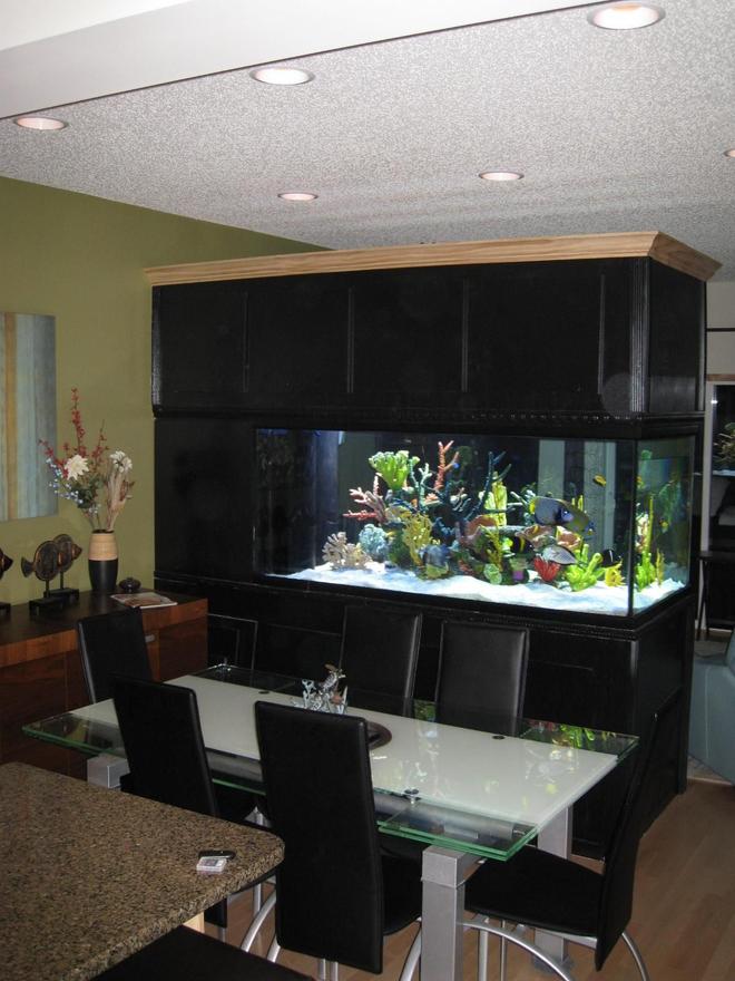 350 gallons saltwater fish tank (mostly fish, little/no live coral) - 350 Gallon Tank, divides our Dining Room from Our Living Room.... I couldn''''''''t live without it