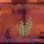 10 gallons freshwater fish tank (mostly fish and non-living decorations) - .
