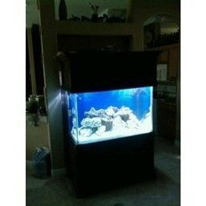 140 gallons reef tank (mostly live coral and fish) - live rock cycling
