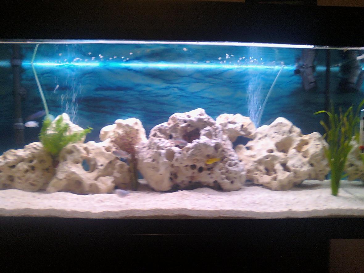 36 gallons freshwater fish tank (mostly fish and non-living decorations) - tank how it is now will put a bit more a few more plants in soon