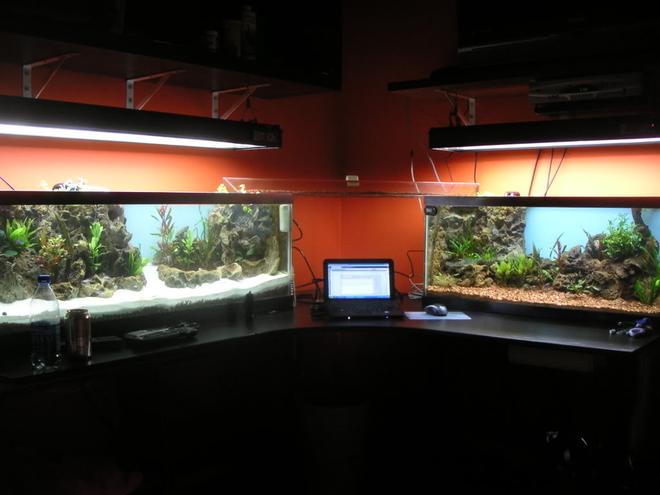70 gallons planted tank (mostly live plants and fish) - 70 gallon 2 tank system