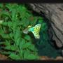 freshwater fish - poecilia reticulata - lemon cobra guppy stocking in 30 gallons tank - Guppy