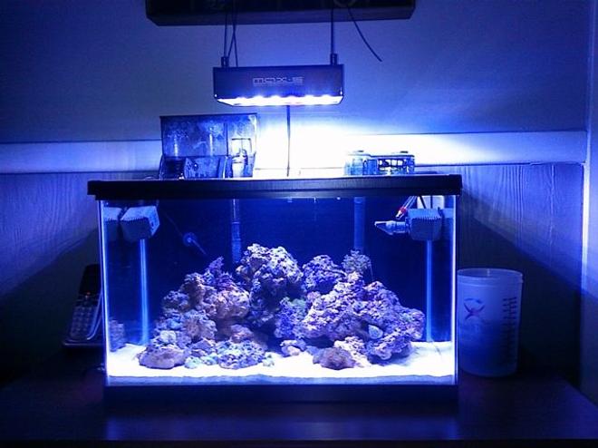 10 gallons reef tank (mostly live coral and fish) - sorry about the crappy pic, I took it with my phone until I get my camera back from my brother. just wanted to get something up