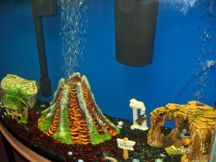 Rated #374: 50 Gallons Freshwater Fish Tank - right sided view