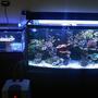 fish tank picture - 3