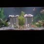 125 gallons freshwater fish tank (mostly fish and non-living decorations) - just chaged my tank up a little foggy from adding stuff but trying to get it all right
