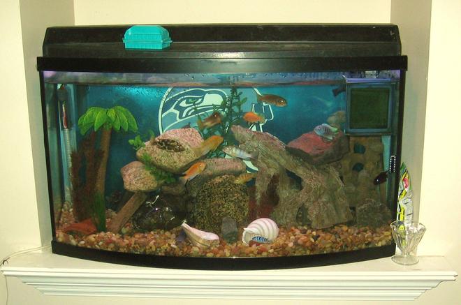 45 gallons freshwater fish tank (mostly fish and non-living decorations) - my tank located in the nook above my gas fireplace insert in the livingroom.  GO SEAHAWKS!!!