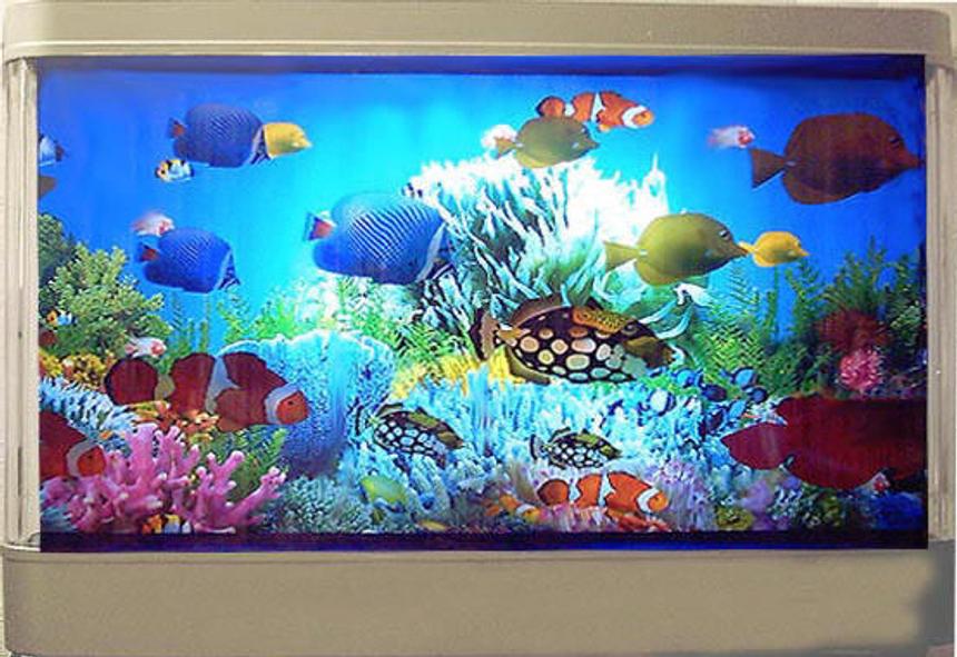 Rated #26: 5 Gallons Saltwater Fish Tank - my fish