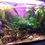 fish tank picture - Right hand side of aquarium