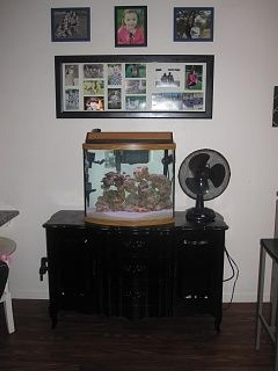 fish tank picture - Wide shot of tank still in the build