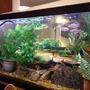 fish tank picture - this is the back view of the tank---i use it for a room divider between kitchen and living room